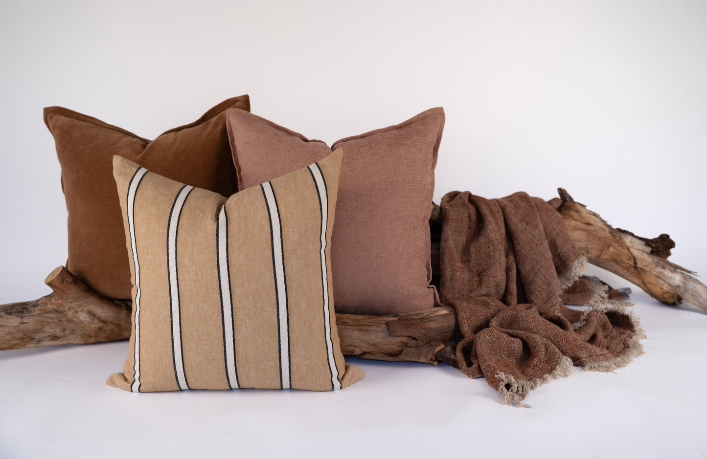 Koa | Northern Skies