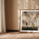 PRINTS